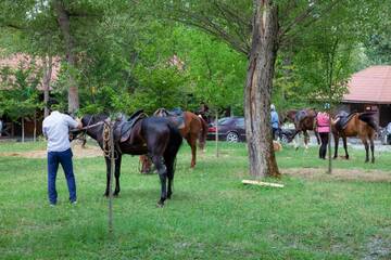 Фото Кемпинги Golden Horse Riding Center г. Kiş 5