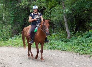 Фото Кемпинги Golden Horse Riding Center г. Kiş 1